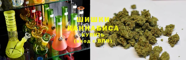 PSILOCYBIN Алзамай
