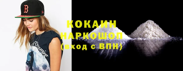 PSILOCYBIN Алзамай