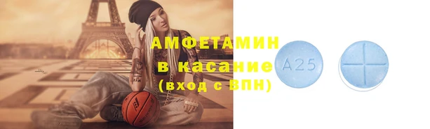 PSILOCYBIN Алзамай