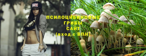 PSILOCYBIN Алзамай
