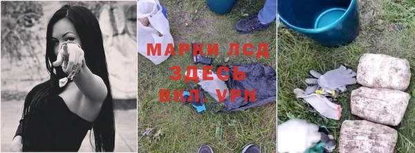 PSILOCYBIN Алзамай